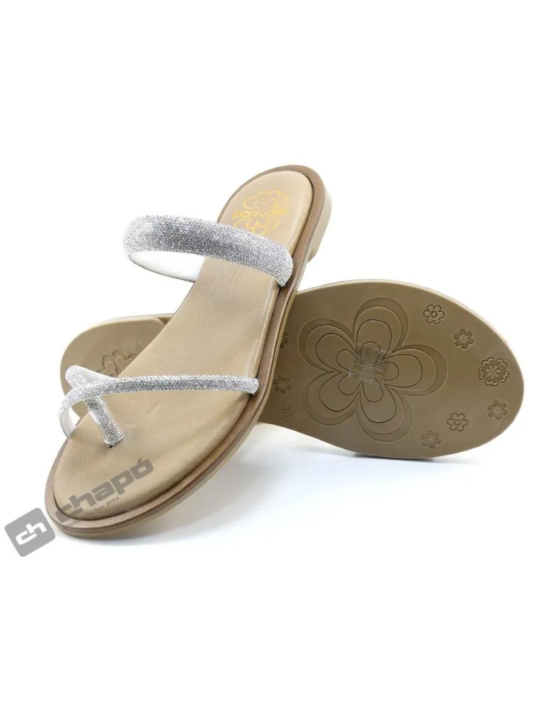 Sandalia Plata Porronet 3008